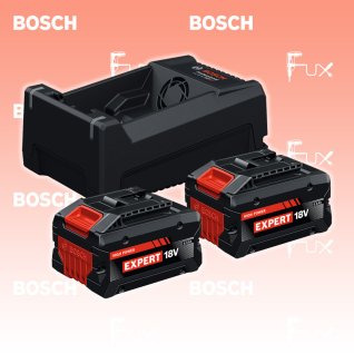 Bosch Expert 2x EXBA18V-55 + GAL12V/18V-80 Starter-Set